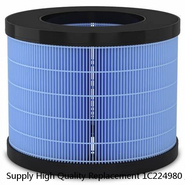 Supply High Quality Replacement 1C224980 / P-BE 20/30 Compressed Air Filter Element Ultrafilter