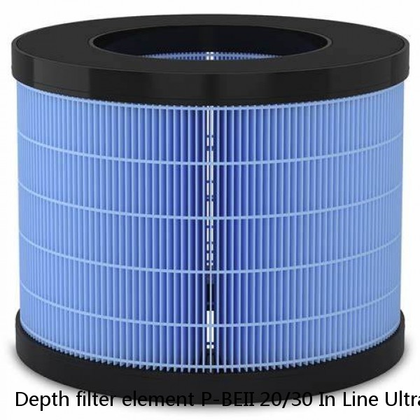 Depth filter element P-BEII 20/30 In Line Ultrafilter P-BEII 20/30
