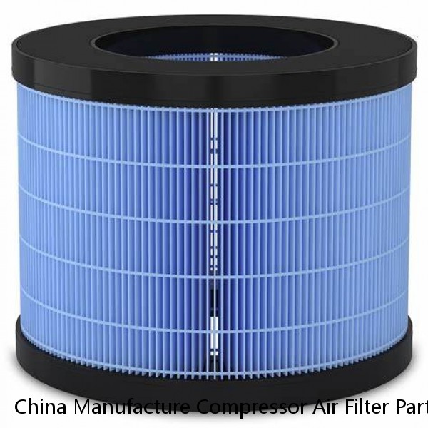 China Manufacture Compressor Air Filter Parts