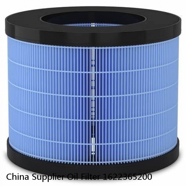 China Supplier Oil Filter 1622365200