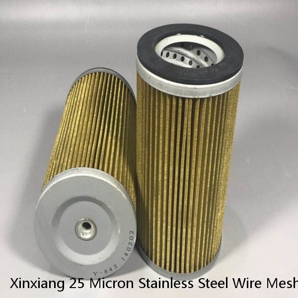Xinxiang 25 Micron Stainless Steel Wire Mesh Hydraulic Return Oil Filter Element