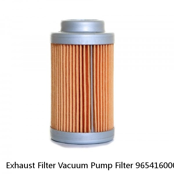 Exhaust Filter Vacuum Pump Filter 9654160000
