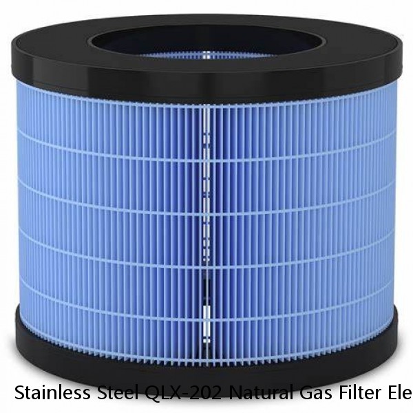 Stainless Steel QLX-202 Natural Gas Filter Element