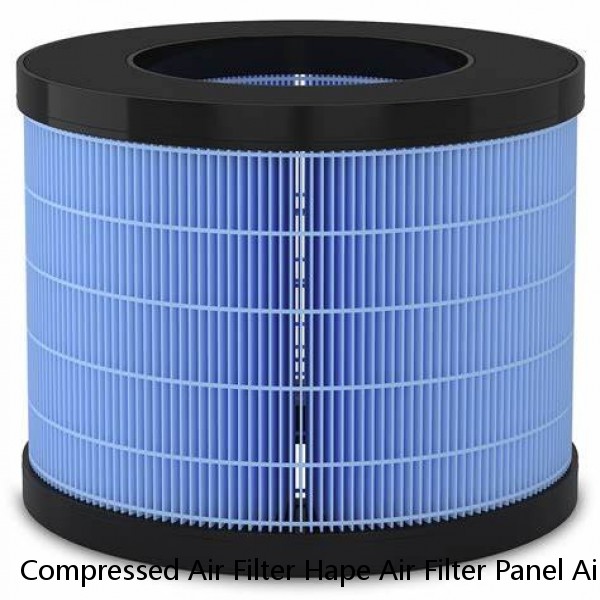 Compressed Air Filter Hape Air Filter Panel Air Filter
