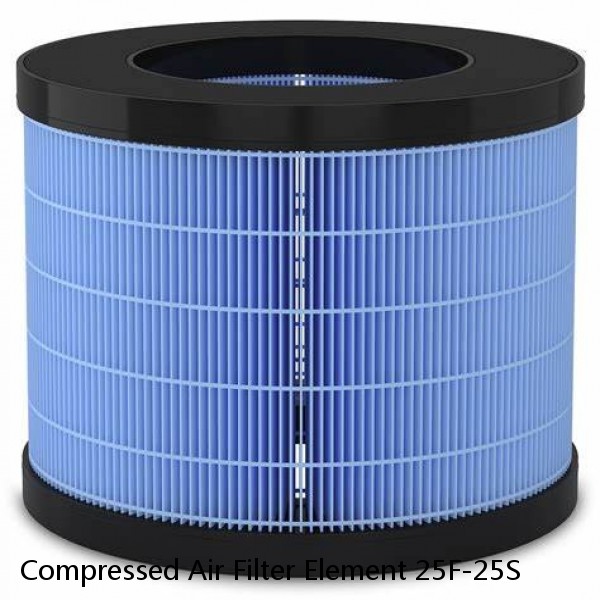 Compressed Air Filter Element 25F-25S