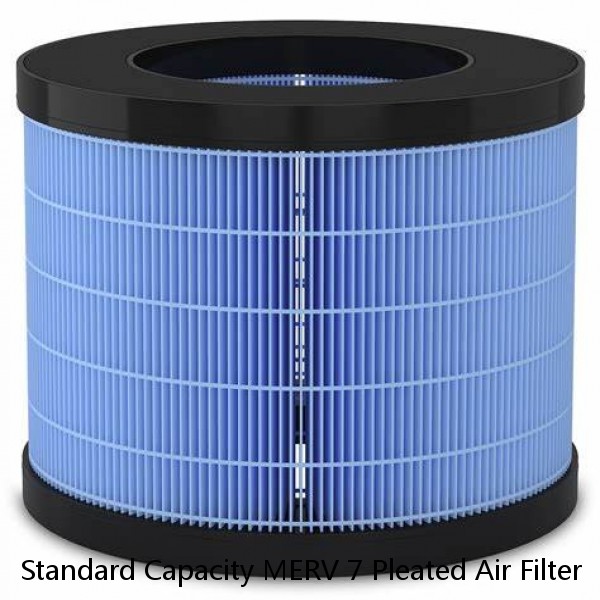 Standard Capacity MERV 7 Pleated Air Filter