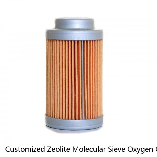 Customized Zeolite Molecular Sieve Oxygen Generator Cartridge 62x575mm