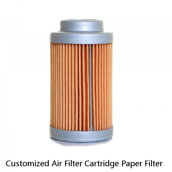 Customized Air Filter Cartridge Paper Filter