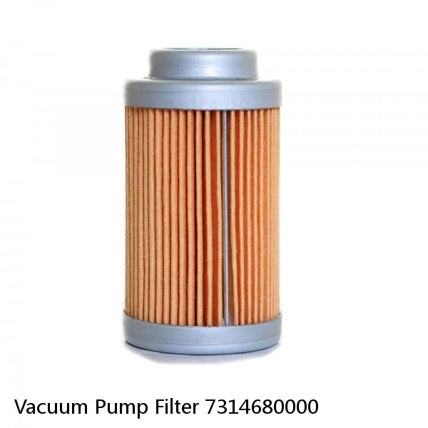 Vacuum Pump Filter 7314680000