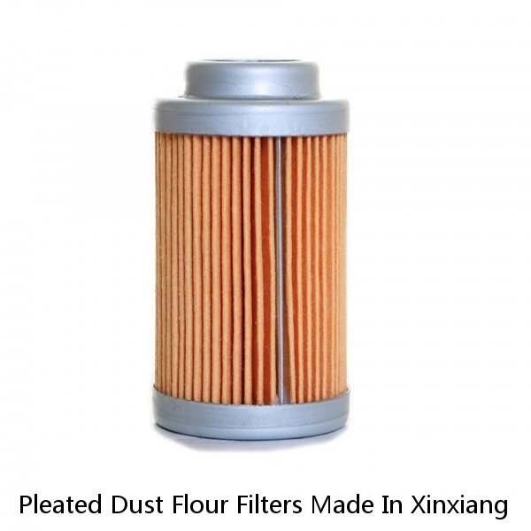 Pleated Dust Flour Filters Made In Xinxiang