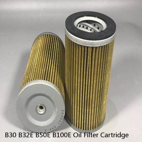 B30 B32E B50E B100E Oil Filter Cartridge #1 image