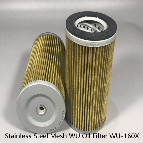 Stainless Steel Mesh WU Oil Filter WU-160X100 Hydraulic Suction Filter #1 image