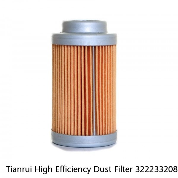 Tianrui High Efficiency Dust Filter 3222332081 Air Filter Element #1 image