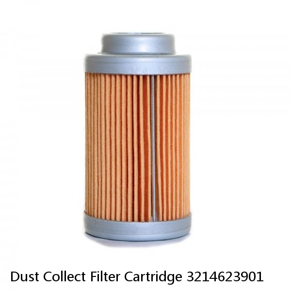 Dust Collect Filter Cartridge 3214623901 #1 image